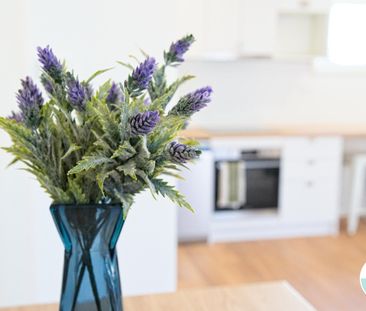 10B Hunter Road, Nords Wharf NSW 2281 - House For Rent | Domain - Photo 3