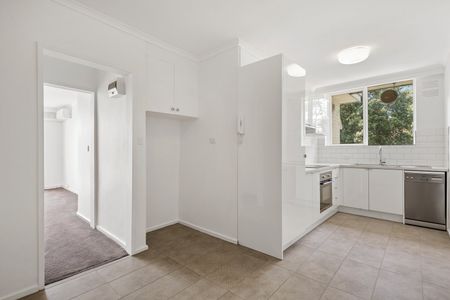 Stylish, Light-Filled Apartment in Leafy, Convenient Location - Photo 4