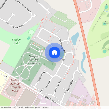 Centenary Way, Newport