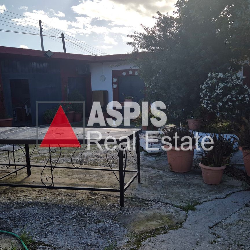 Μονοκατοικία, προς ενοικίαση Κερατέα Κωδικός 2147848 - Photo 1