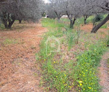 Μονοκατοικία 20 τ.μ. προς ενοικίαση - Photo 3