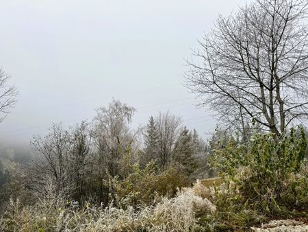 6 TOPSANIERTE ERBEZÜGE AM SEMMERING - Photo 4