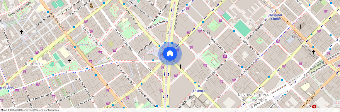 Avinguda de Josep Tarradellas, Barcelona, Catalonia 08029