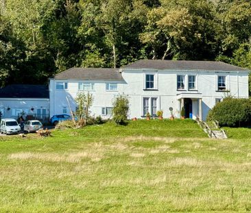 1 bedroom ground floor flat to rent - Photo 6