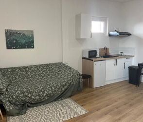 Location Appartement 1 pièces 14 m2 à Perpignan - Photo 1