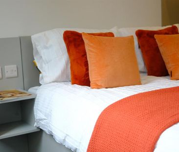 Studio to rent - Photo 2