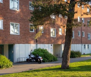 Gregorianska gatan 55 - Foto 1