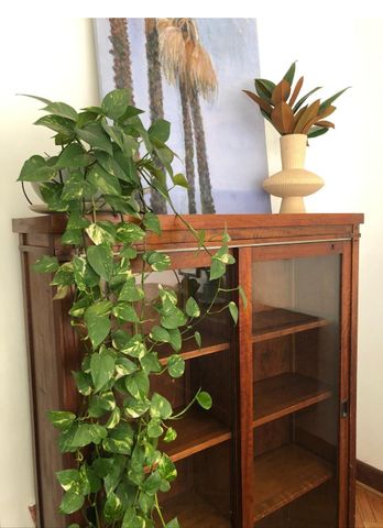 Bondi Beach - Photo 3