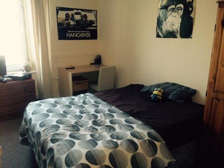 49 Hill Park Crescent - Photo 4