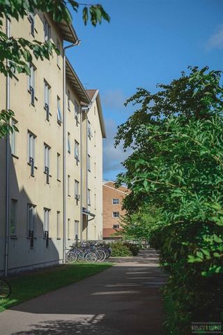 Tröskaregatan 10.223 - Foto 5