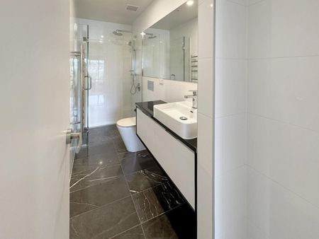 217 Great North Road, Grey Lynn - Photo 4