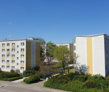 2-Raum Wohnung in Eisenhüttenstadt - 16132/68/48 - Photo 4