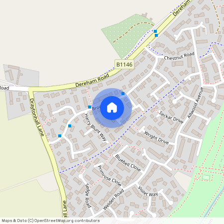 Richard Hicks Drive, Dereham, Scarning