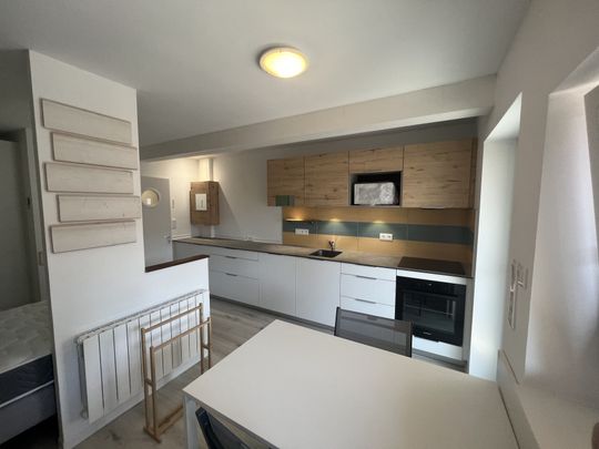 Appartement 20 m² - 1 pièce - Andolsheim (68280) - Photo 1