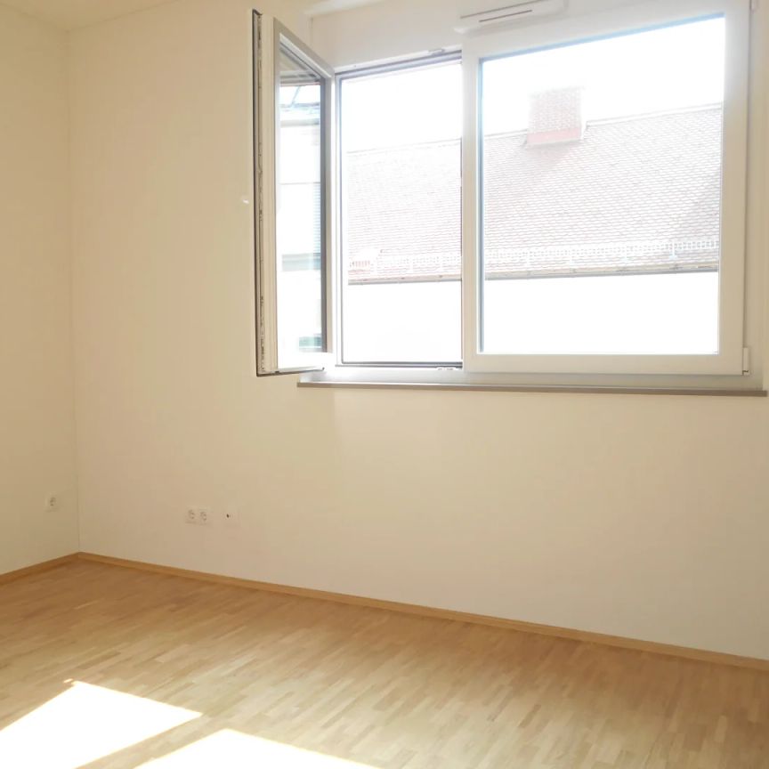 RANKENGASSE sonnige 3ZI mit 6m² S/O Balkon nahe AUGARTENBUCHT, Murpromenade - Foto 1