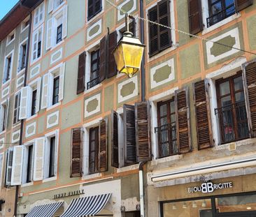 Location Appartement 1 pièce 25m² ANNECY 74000 - Photo 4