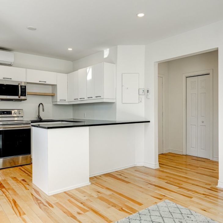 4052 Av. du Parc-La Fontaine, app.3, H2L 3M8, H2L 3M8, Montréal - Photo 1