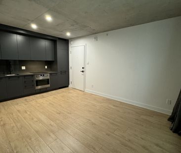 Kai APT #507-215 Murray / 1BED-1BATH - Photo 2