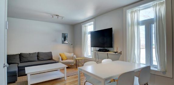 3 ½ entièrement meublé à louer Saint-Jean-Baptiste juillet 2026 - Photo 2