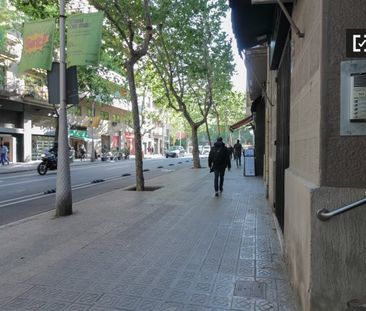 barcelona, Catalonia 08025 - Photo 5