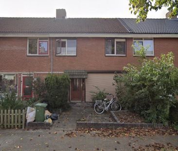 Te huur: Kamer Meijhorst 5049 02 in Nijmegen - Photo 2