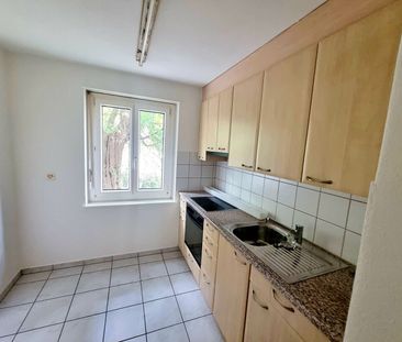 Frisch gestrichene Wohnung mit Grüne Umgebung - Photo 3