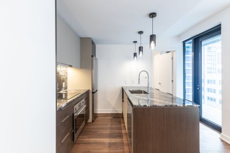 Condo for rent, Montréal (Ville-Marie) - Photo 4