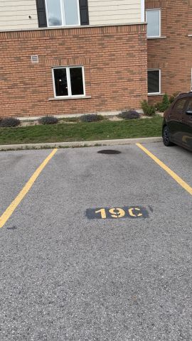 For Lease - 312 Spillsbury Drive Unit# 209, Peterborough, Ontario - Photo 4