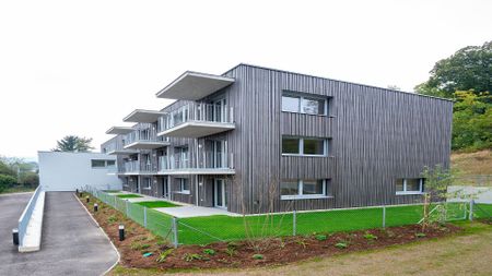 NEULENGBACH IX/1 - Foto 5