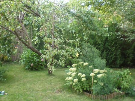 Dom na wynajem, ul. Piechoty Łanowej, Warszawa Wilanów - Zdjęcie 5