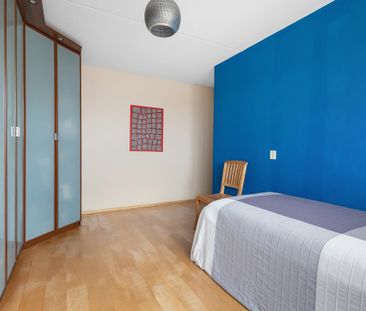 Pyreneeën 75 - Photo 5