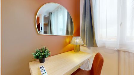 FAYS P Colocation 3 chambres à Villeurbanne - Photo 3