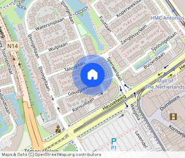 Goudplevierlaan 4 - Foto 1