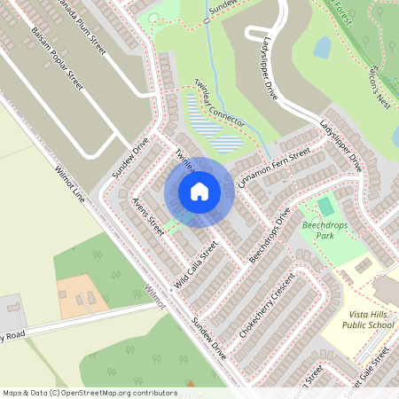 456 Twin Leaf Street Unit# Bsmt, Waterloo