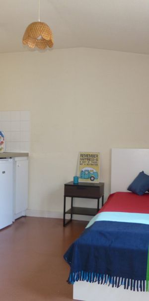 Location Appartement 1 pièce 18m² GRENOBLE 38000 - Photo 1