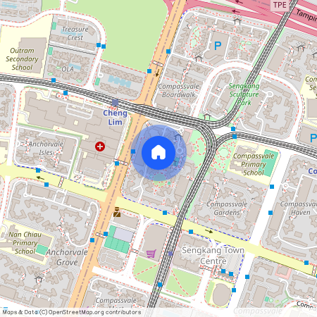 262C Compassvale Street (543262), Singapore