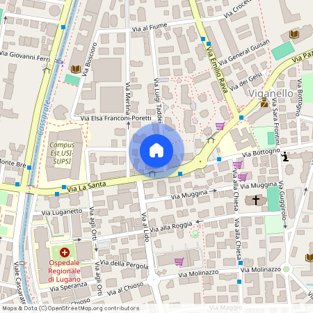 6962, Viganello, Via Luigi Taddei, 1