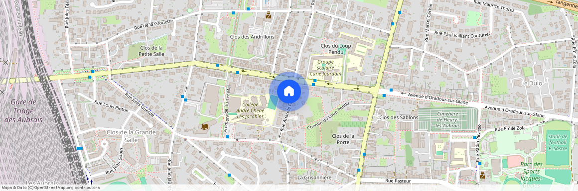 LOIRET (45), - CENTRE-VAL-DE-LOIRE, FLEURY LES AUBRAIS (45400)