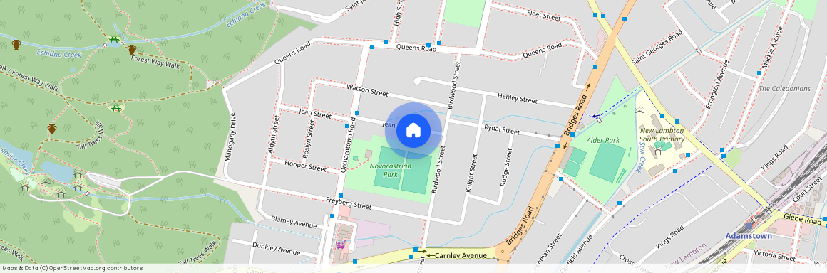 49 Jean Street, New Lambton NSW 2305