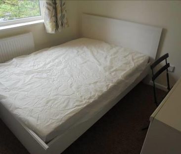 Pettus Road, Norwich - Photo 2