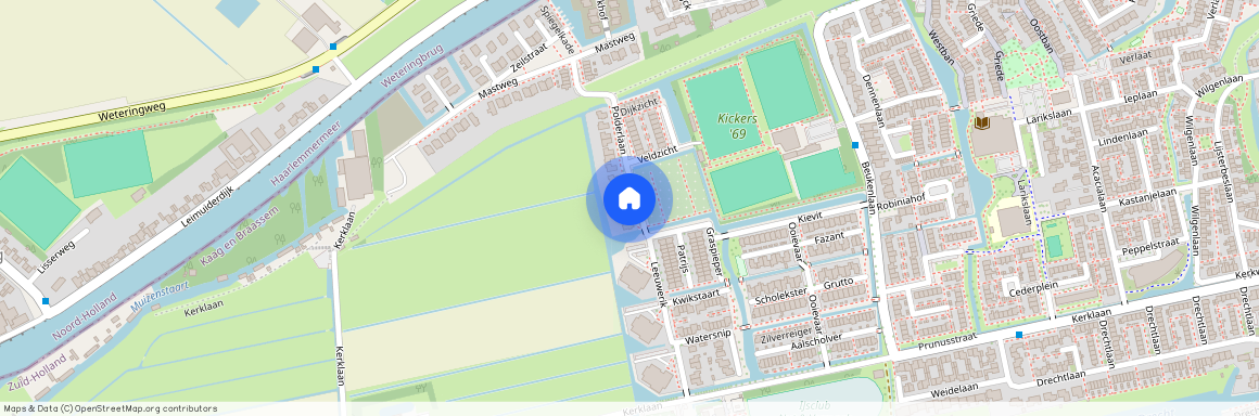 Polderlaan 5, Verspreide huizen West, 2451TL, Leimuiden