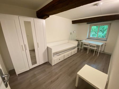 Te huur: Kamer Grote Looiersstraat in Maastricht - Photo 4