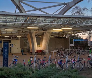 Zwierzolubna kawalerka do wynajęcia,os.Niedźwiadek 24.3 m² - Photo 4