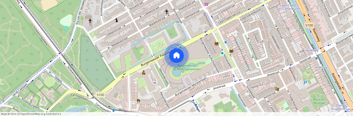 Burgemeester De Monchyplein 218, 's-gravenhage