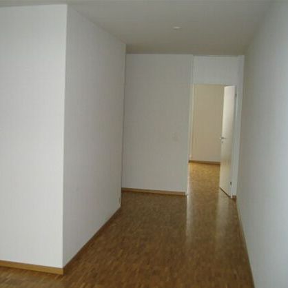 2 ½ Zimmer-Wohnung in Zürich mieten - Photo 1