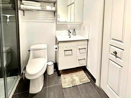 3456 Av. du Parc - Photo 2