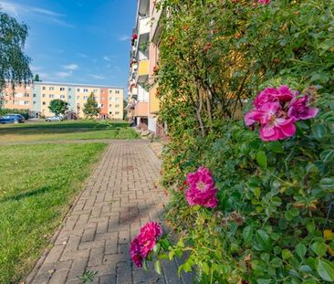 Bald in die neue Traumwohnung einziehen - Foto 4