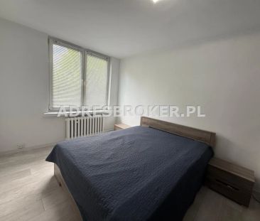 Mieszkanie, wynajem Gliwice, Sikornik - Zdjęcie 1