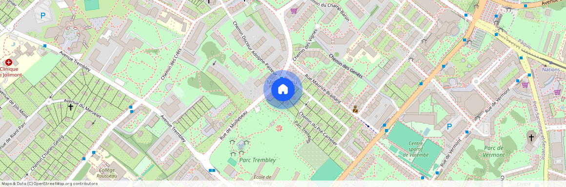 Rue de Moillebeau, 1206 Genève