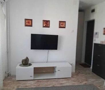 inchiriere garsoniera zona Costin Georgian - Fotografie 5